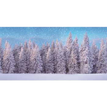 My Village Achtergrond doek sneeuwbos 300x150 cm