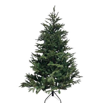Black Box Trees - Frasier sapin de noel vert TIPS 1880 - h185xd124cm