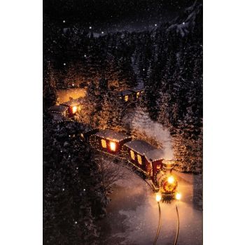 Kerstverlichting LED canvas 38x58cm trein - 2xAA
