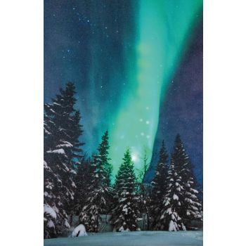 Kerstverlichting LED canvas 38x58cm noorderlicht 2xAA