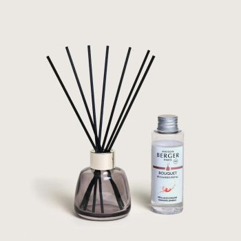 Maison Berger Paris parfumverspreider mini rosalie exquisite sparkle 90 ml